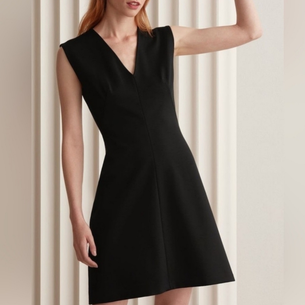 Everlane Black V-Neck Dress